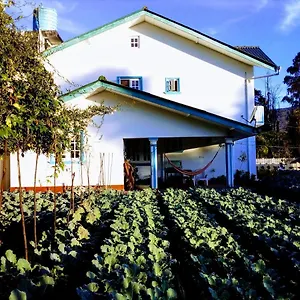 Vibe Way Maison d'hôtes